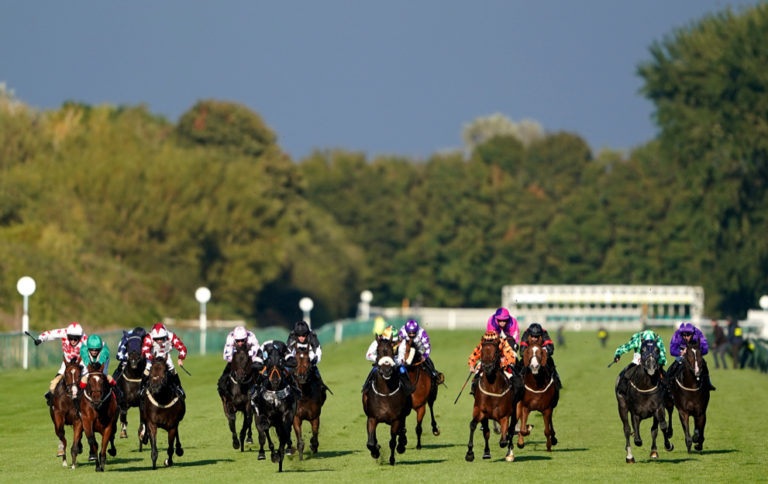 Horse racing betting optional claimer