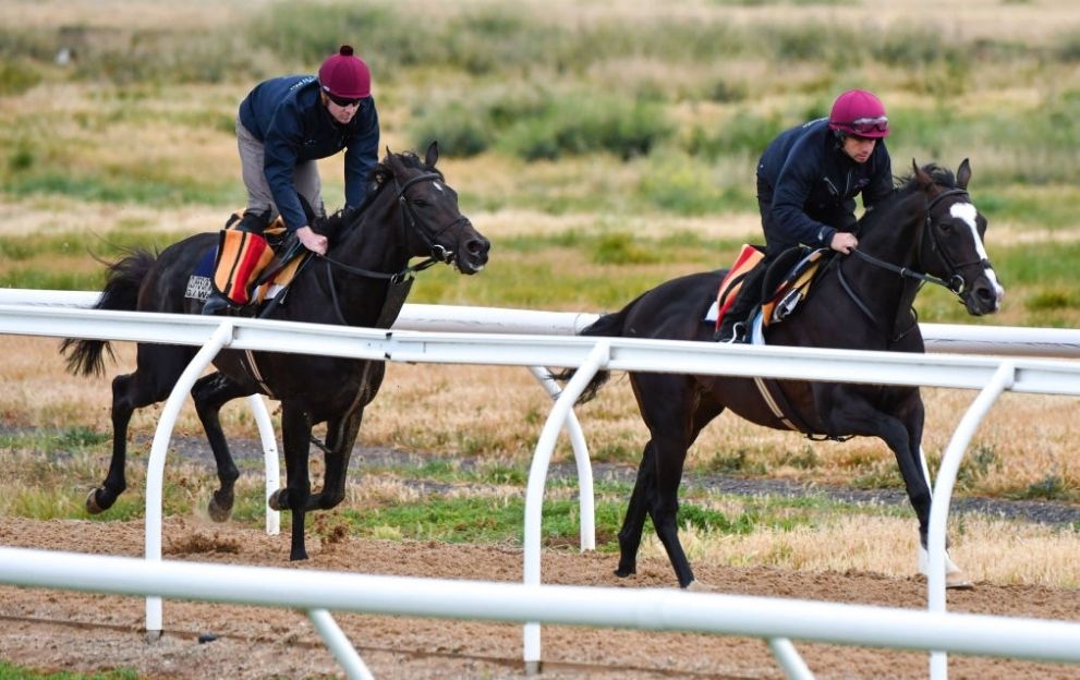 The Aidan O'Brien trained Yucatan and The Cliffsofmoher (L) galloping on the all weather track during a Werribee trackwork session at Werribee Racecourse