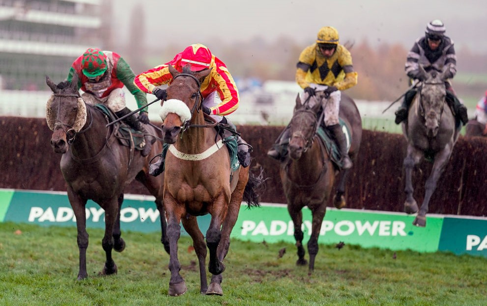 Coole Cody Paddy Power Gold Cup Cheltenham