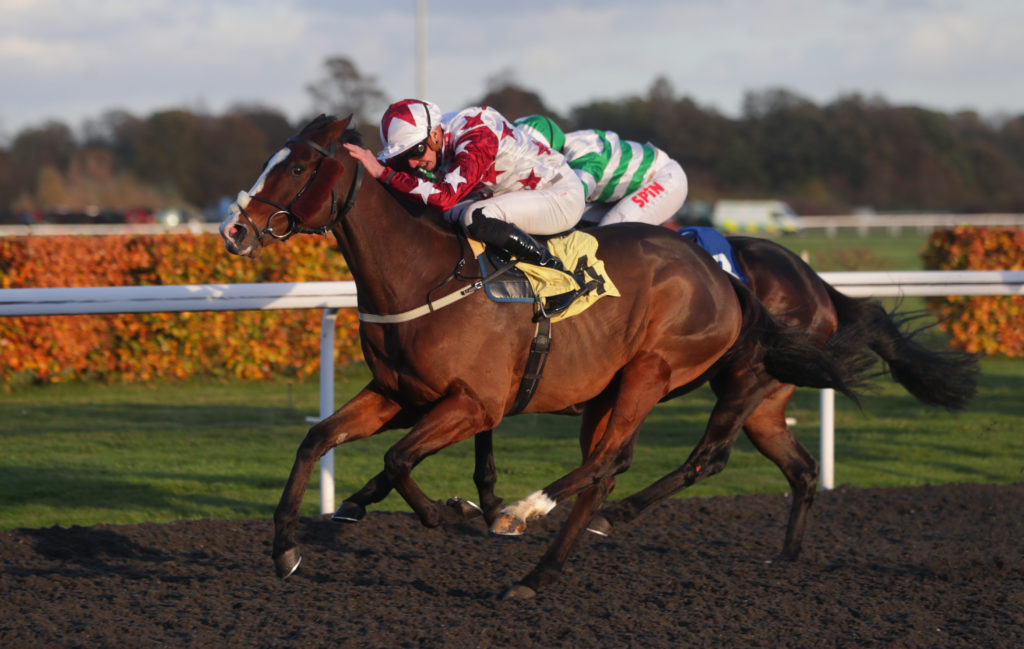 Horse racing betting conditional jockey