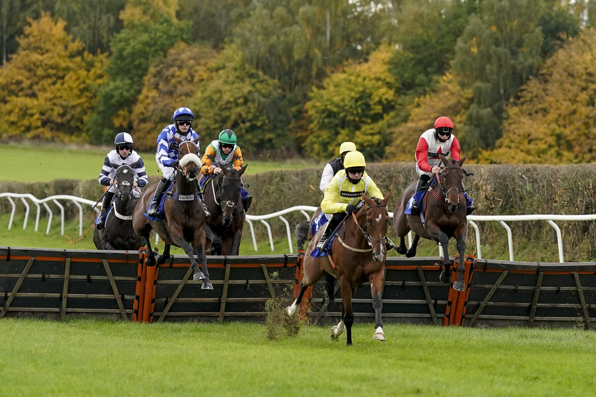 What Does The Term connections Mean In Horse Racing 