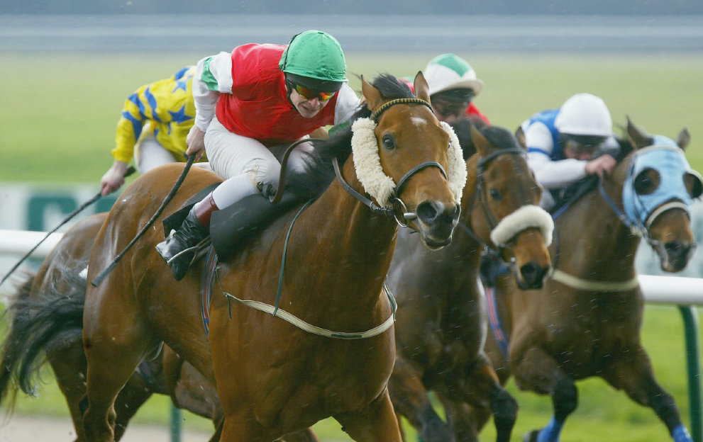 Horse racing betting cheekpieces