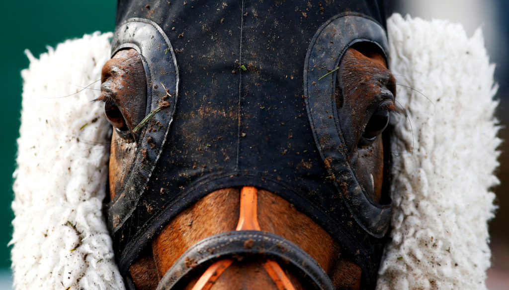 Horse racing cheekpieces