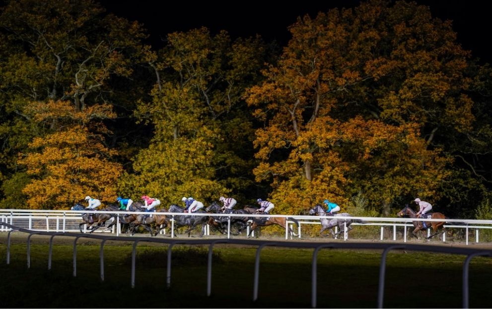 Chelmsford races October 29, 2020