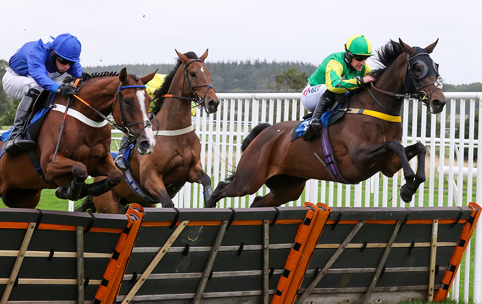 Kelso-Races-Jumps-action