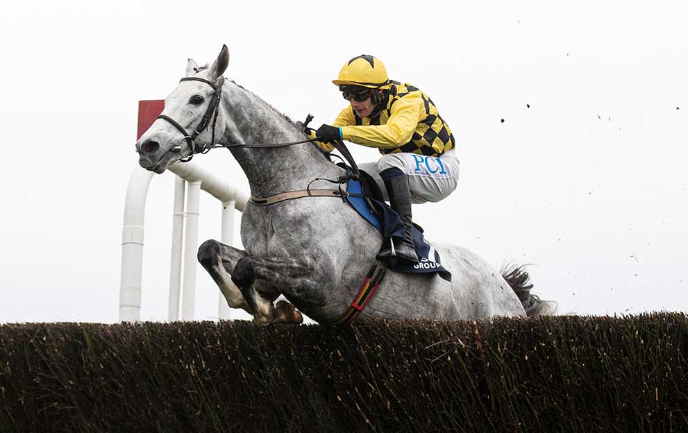 Asterion-Forlonge-wins-a-novice-chase-at-Punchestown