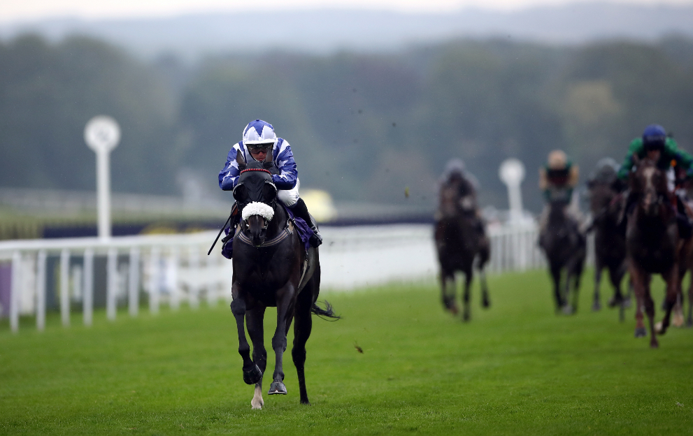 The Apprentice Jockey: Trodmore Hunt Races