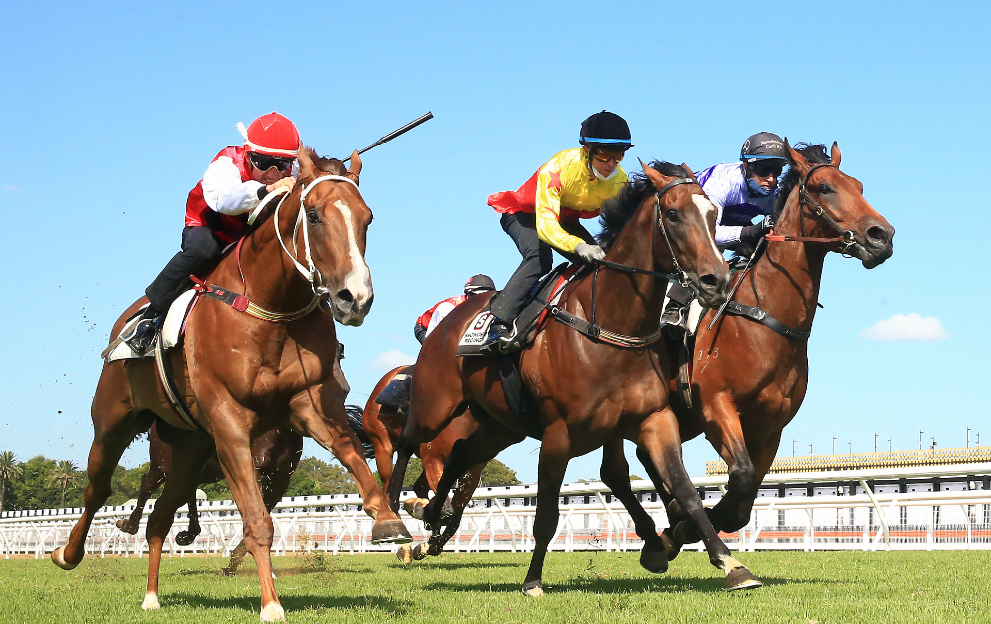 Horse racing pushed out