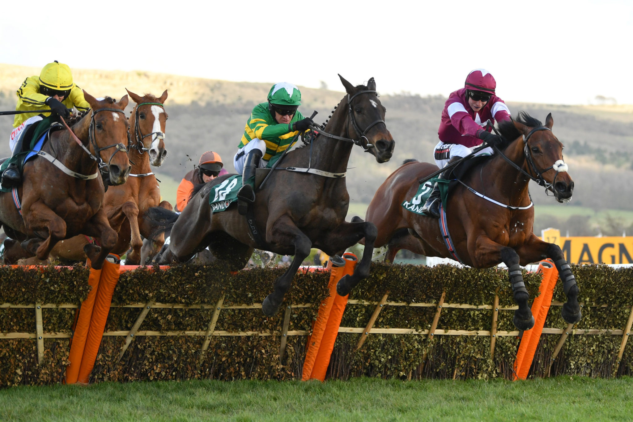 Horse Racing Tips From Paddy S Tipsters And Traders Paddy Power News