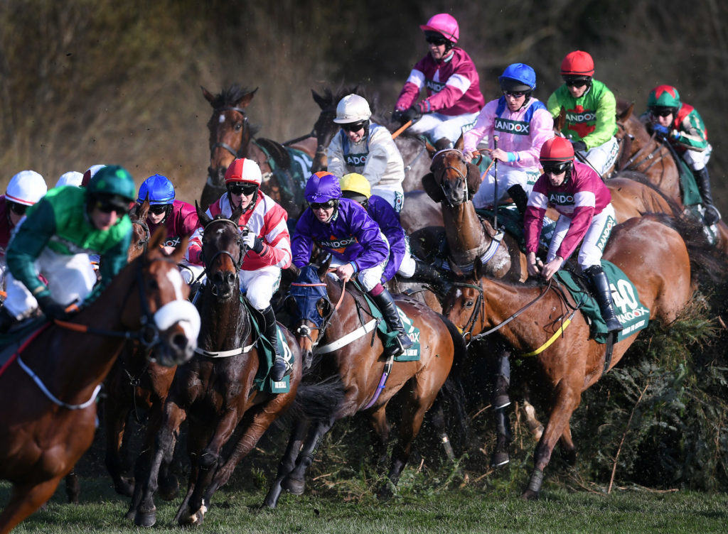 Grand National fence heights