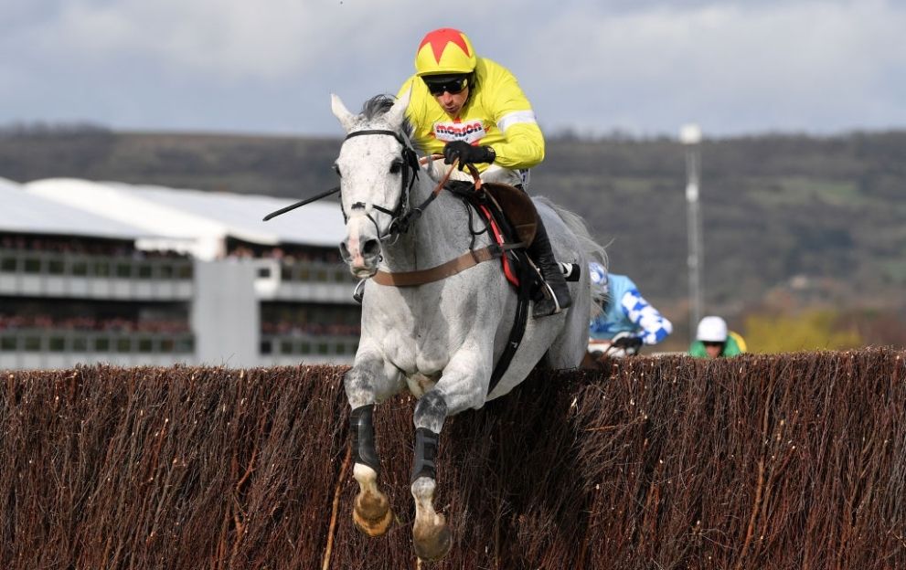 Politologue Harry Skelton Queen Mother Champion Chase Cheltenham March 11, 2020