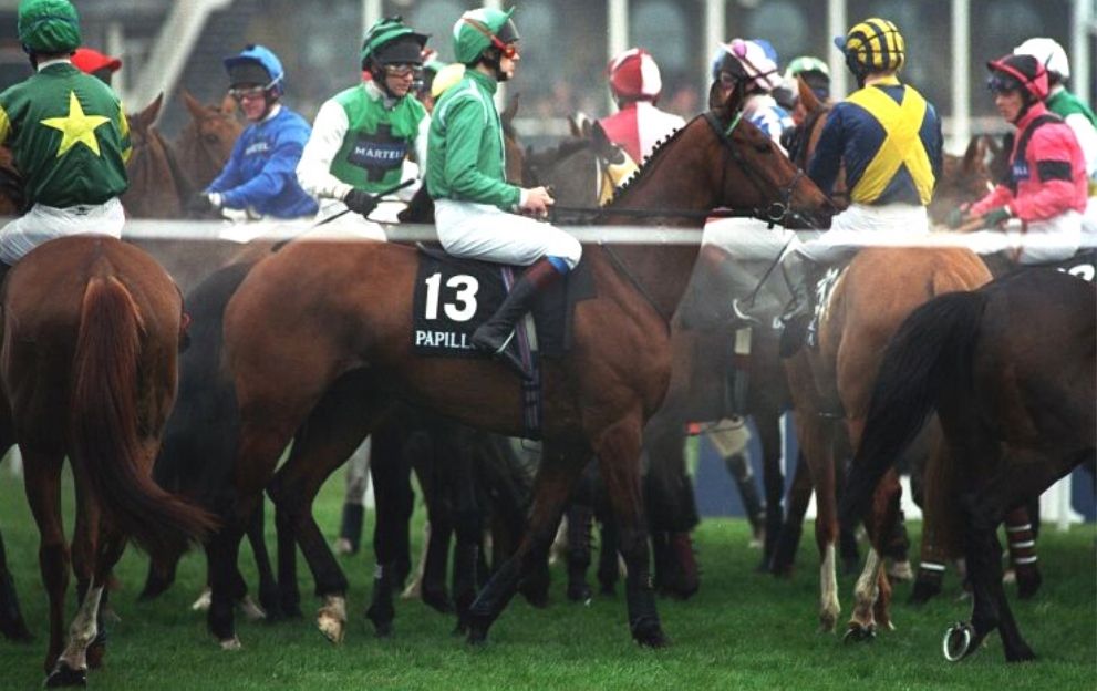 Ruby Walsh Papillon Grand National Aintree April 8, 2000