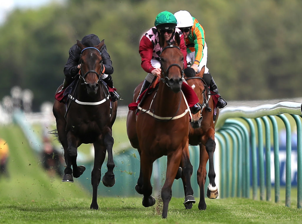 Horse Racing Tips Timeform's Sunday Picks at Pontefract