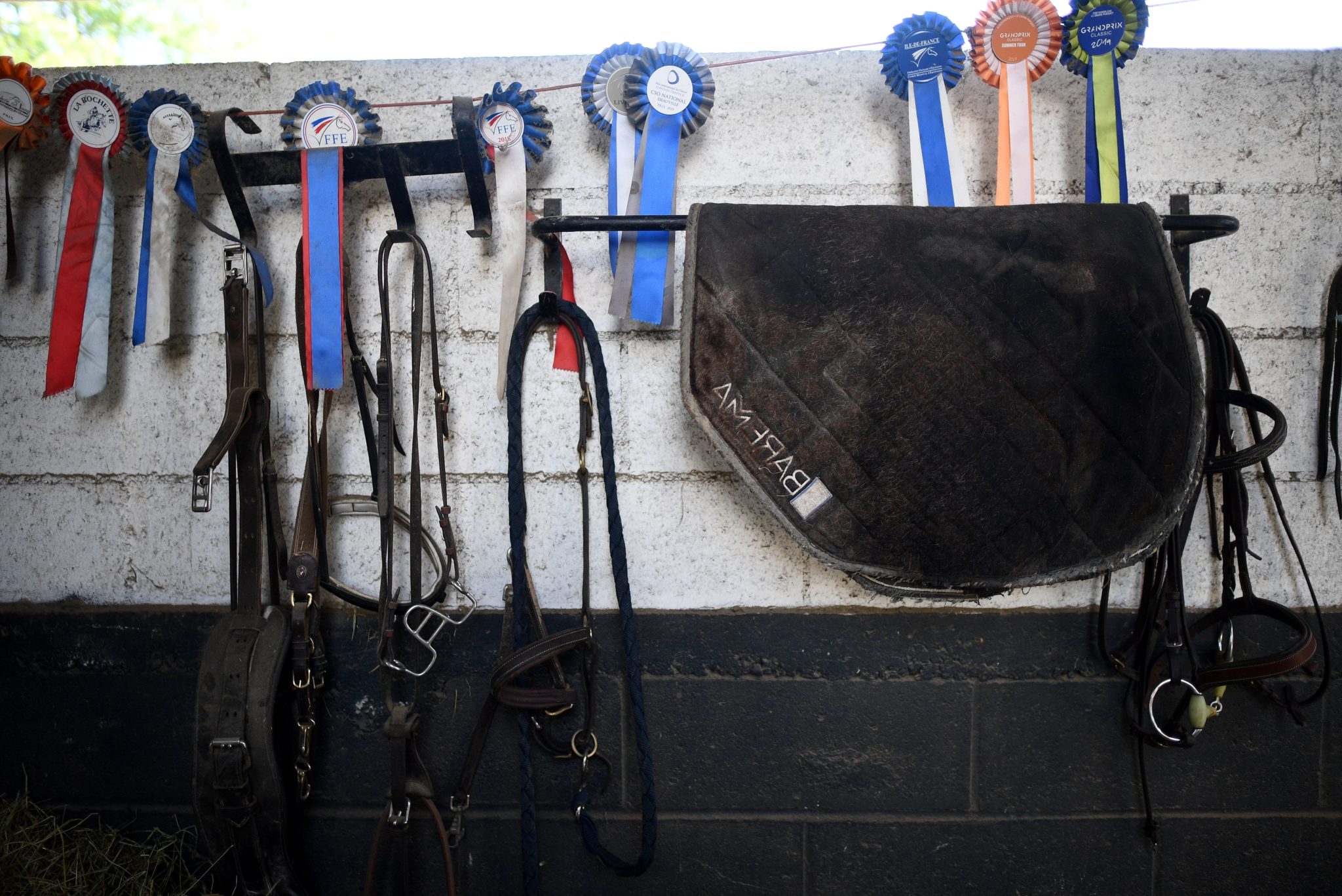 Horse racing betting equipment Paddy Power