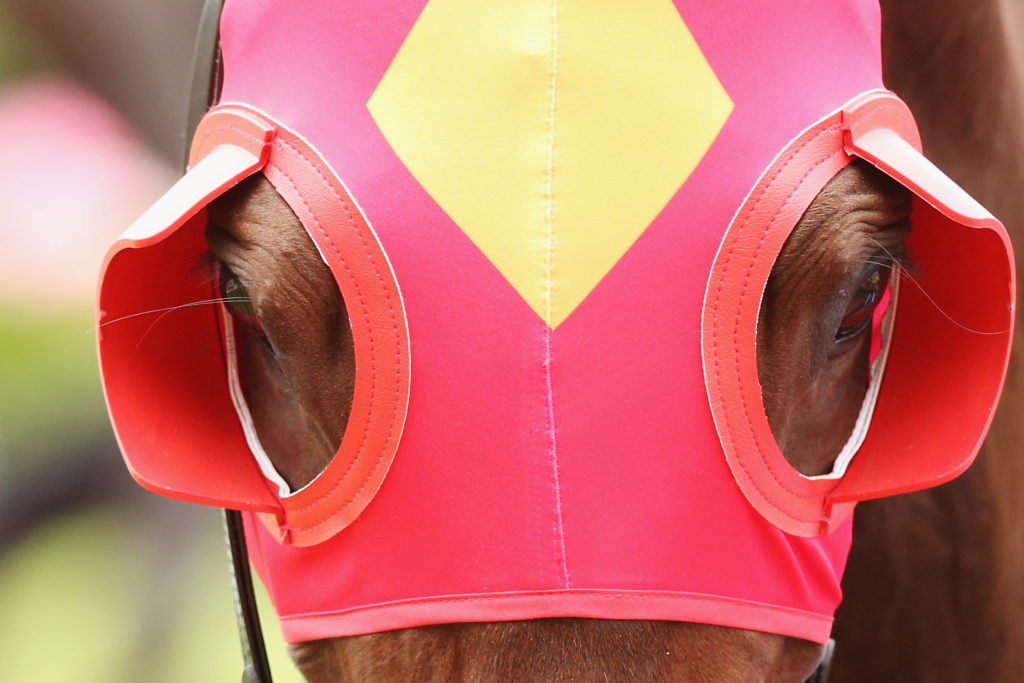 Horse racing betting guide blinkers