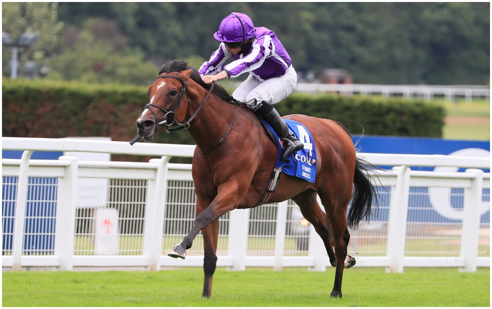 Irish Champion Stakes guide to today's 2.45