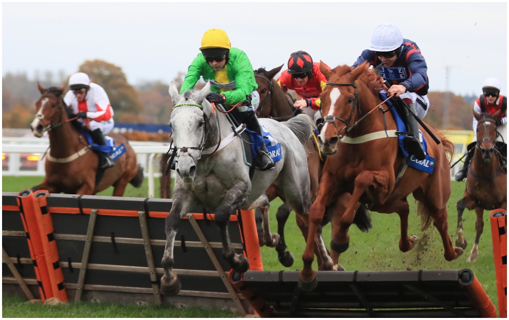 Cheltenham Festival Buzz cut for Paddy Power Stayers' Hurdle