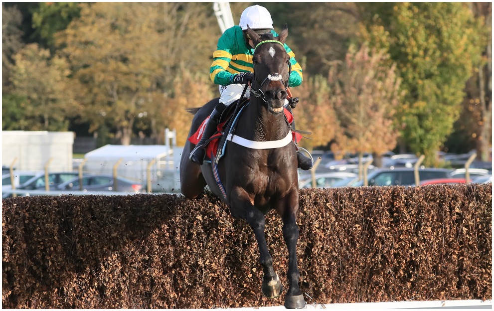 Cheltenham Festival Chantry House Gold Cup Odds Cut After Sandown Stroll