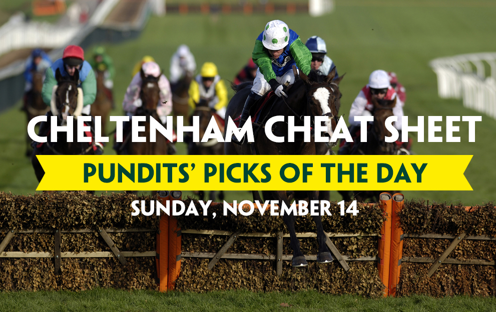 Cheltenham Cheat sheet header SUNDAY NOV 14