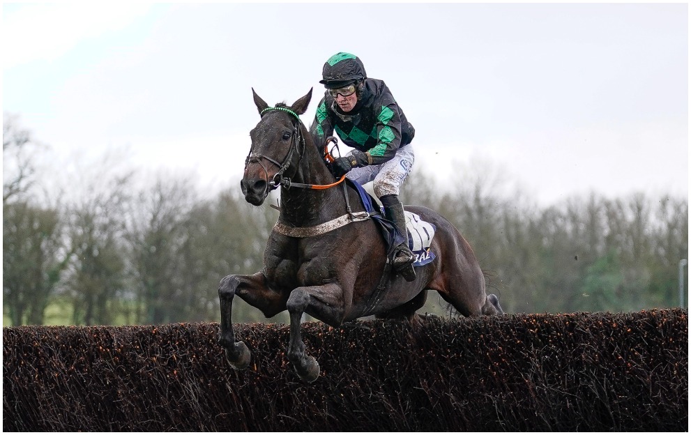 Iwilldoit jumping a fence in the Welsh Grand National at Chepstow