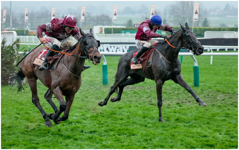 Delta Work beats Tiger Roll in the Cross Country Chase