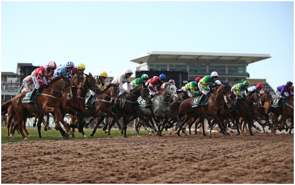 Horses running in the Aintree Grand National