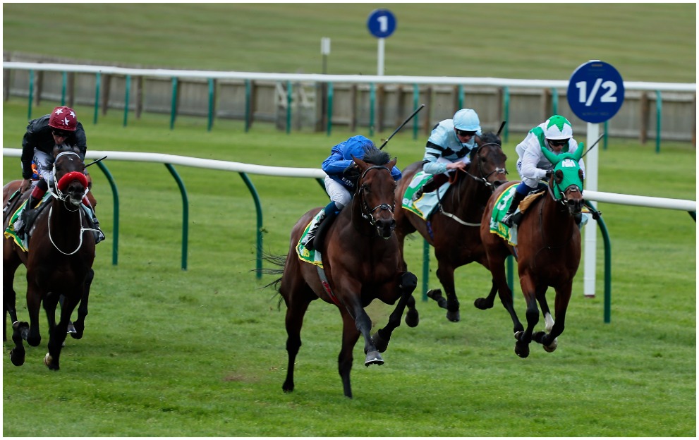 horse racing 2000 guineas betting