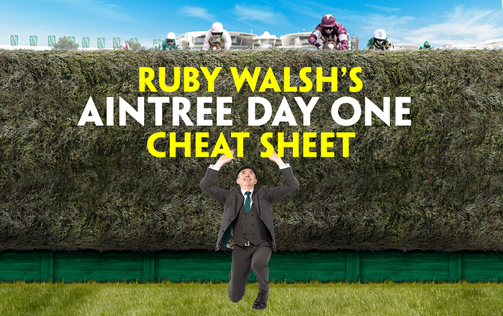 Horse Racing Tips Ruby Walsh's Grand National Festival Cheat Sheet