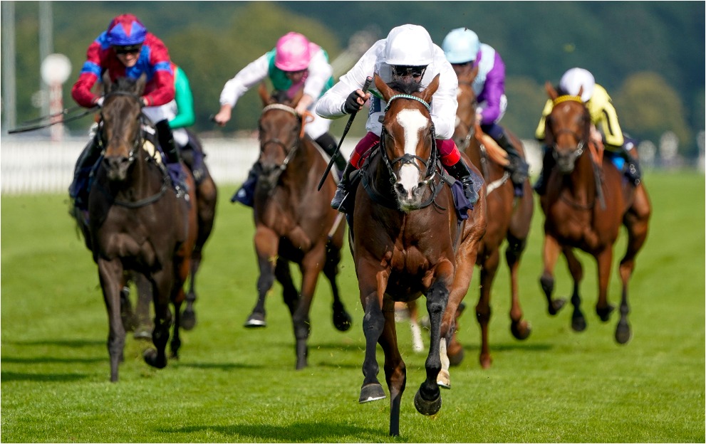 Horse Racing Tips: A 5/1 Bet Leads the line this Saturday at Doncaster
