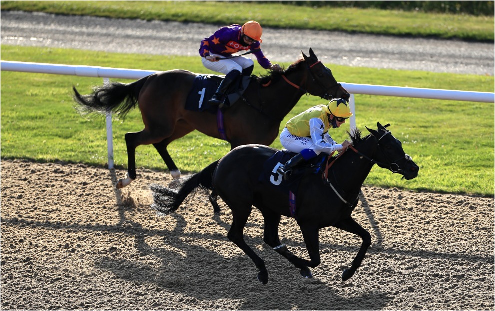 Horse Racing Tips: A 5/1 NAP opens tonight’s Wolverhampton best bets