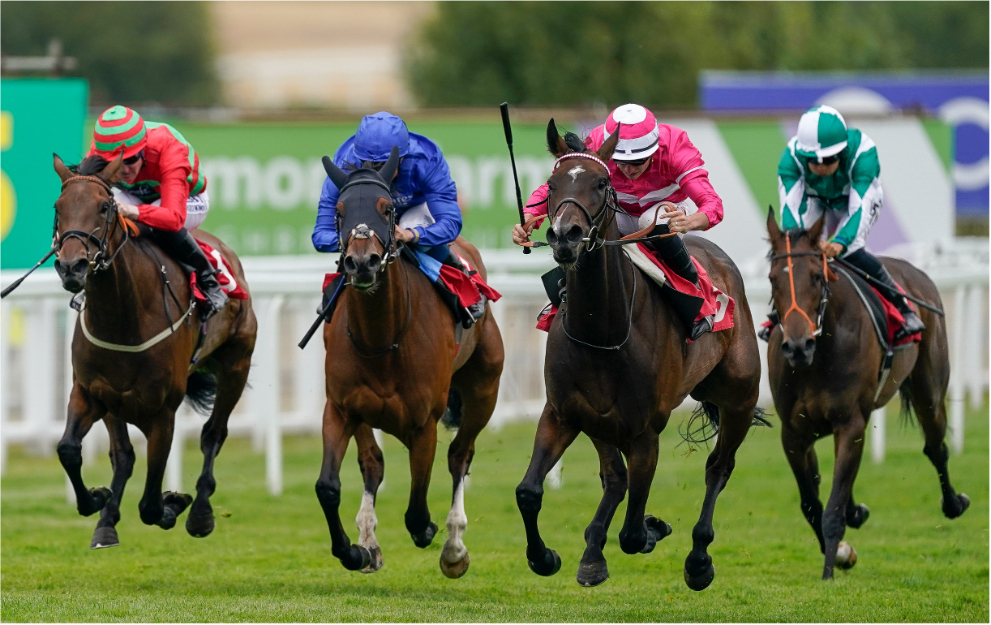 Lucky 15 Tips Today: Tuesday’s best bets across the tracks using our NAPs table