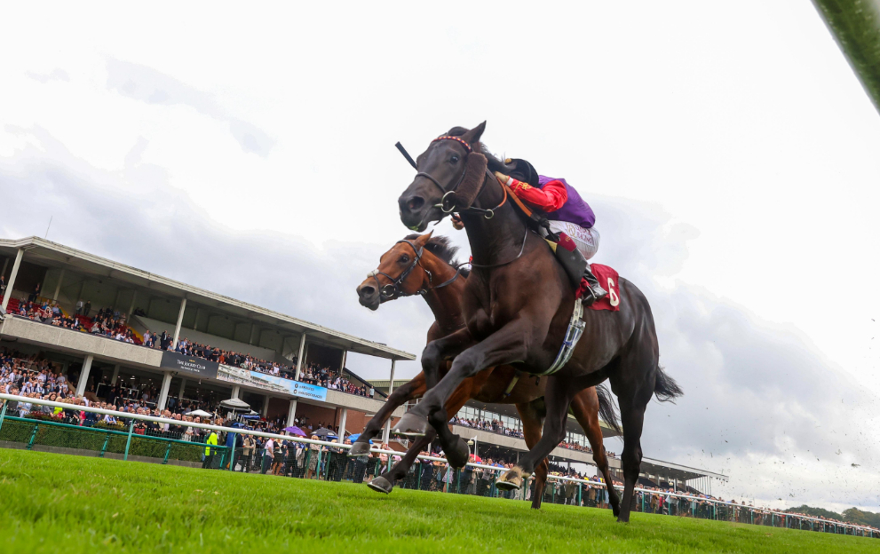 King Charles III's first royal runner faces 3 rivals at Salisbury