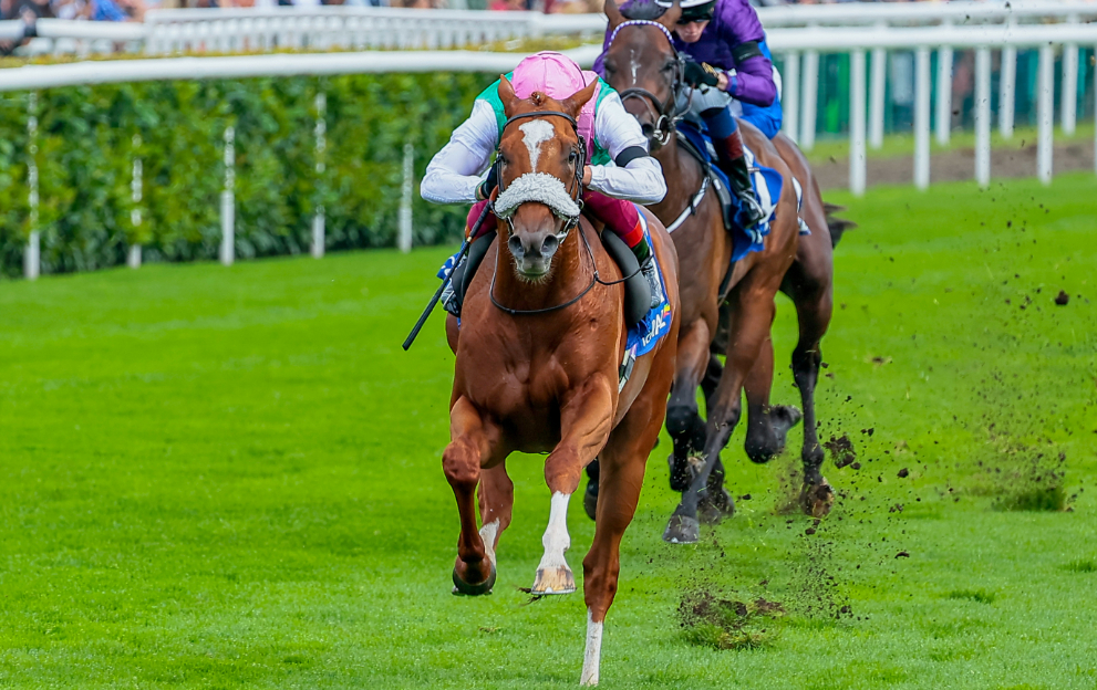 Chaldean Puts 2000 Guineas Claims On Line At Newbury