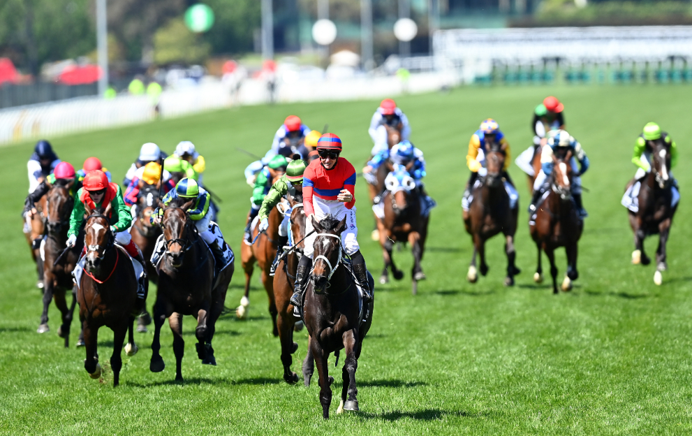Betting on melbourne cup day at flemington how long does coinbase take to send ethereum