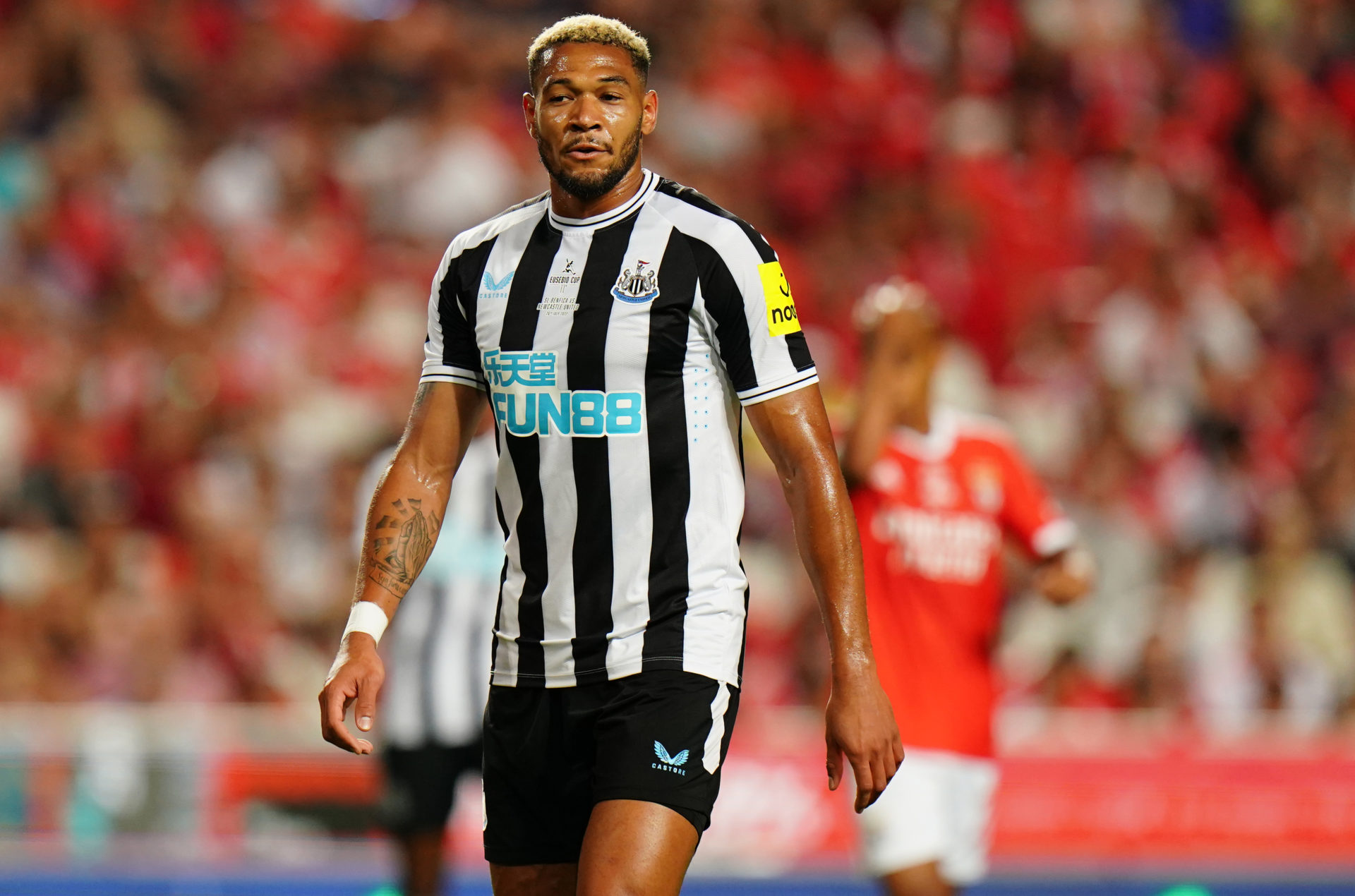 Joelinton, newcastle, 12-22