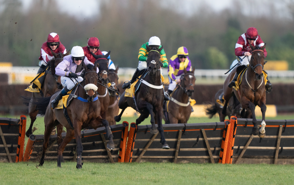 Betfair Hurdle tips and runners guide to Newbury 3.35