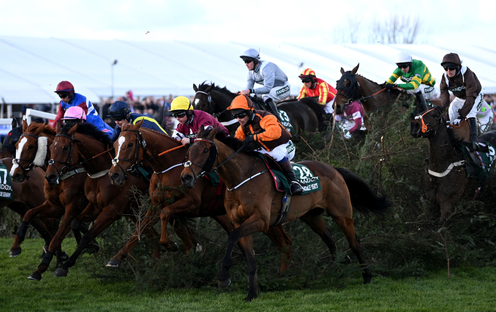 Horses running in the Grand National at Aintree