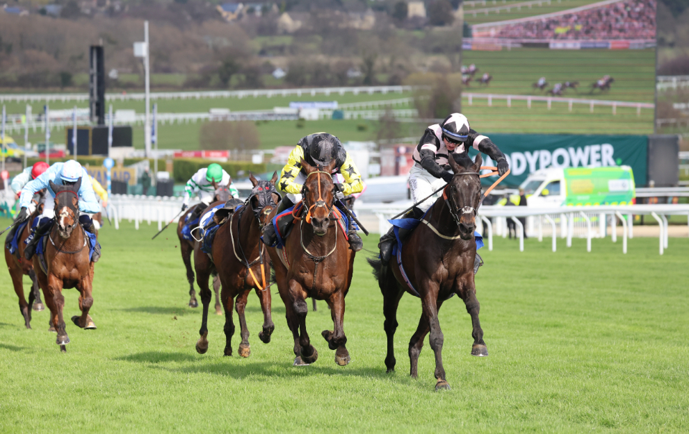 When is the Pertemps Final? Cheltenham date, time, runners, betting