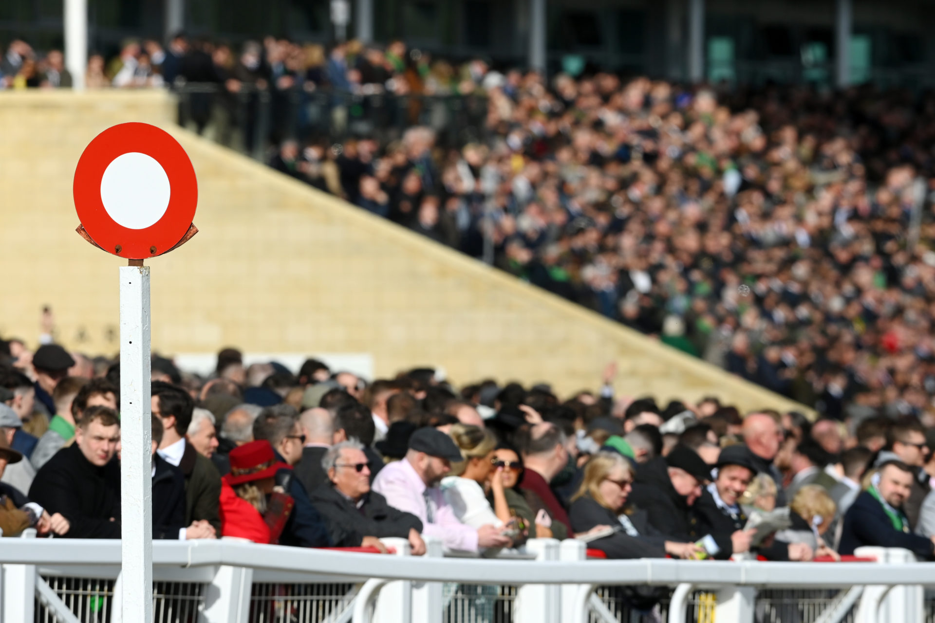 Cheltenham festival guide