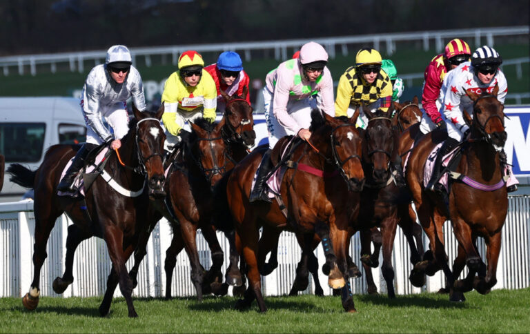 Runners and riders in the Cheltenham Gold Cup