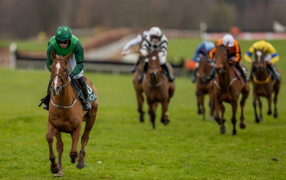Horse Racing Tips: A 12/1 shot is our Sunday best at Navan