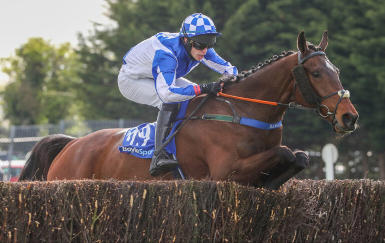 Lord Lariat jumps a fence in the Irish Grand National