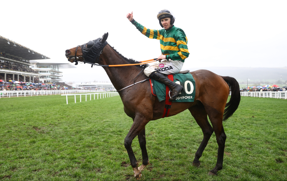 Sire Du Berlais and jockey celebrate victory in the Paddy Power Stayers' Hurdle
