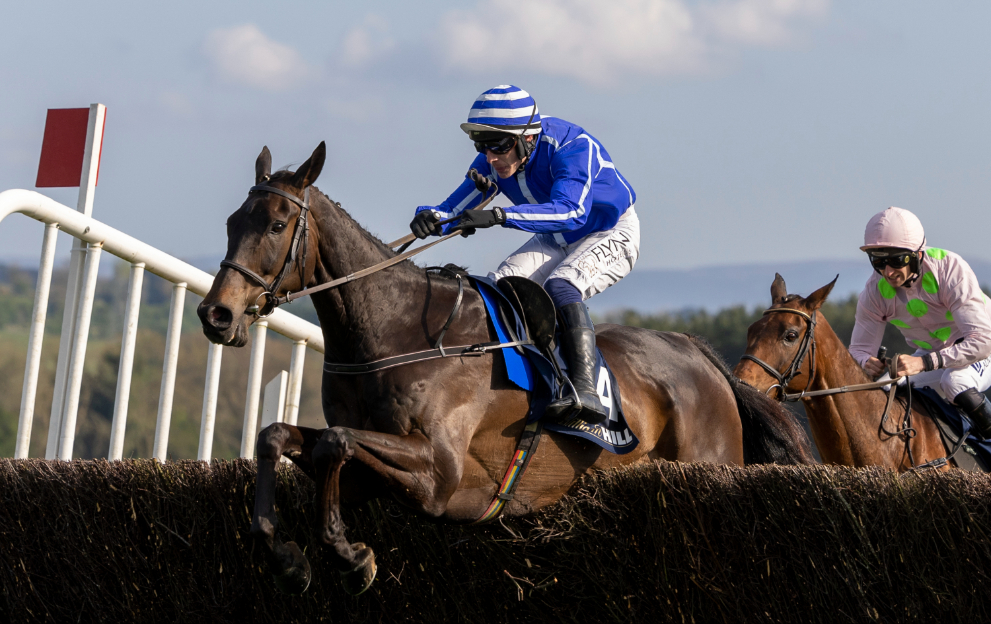 Energumene wins the Champion Chase at the Punchestown Festival