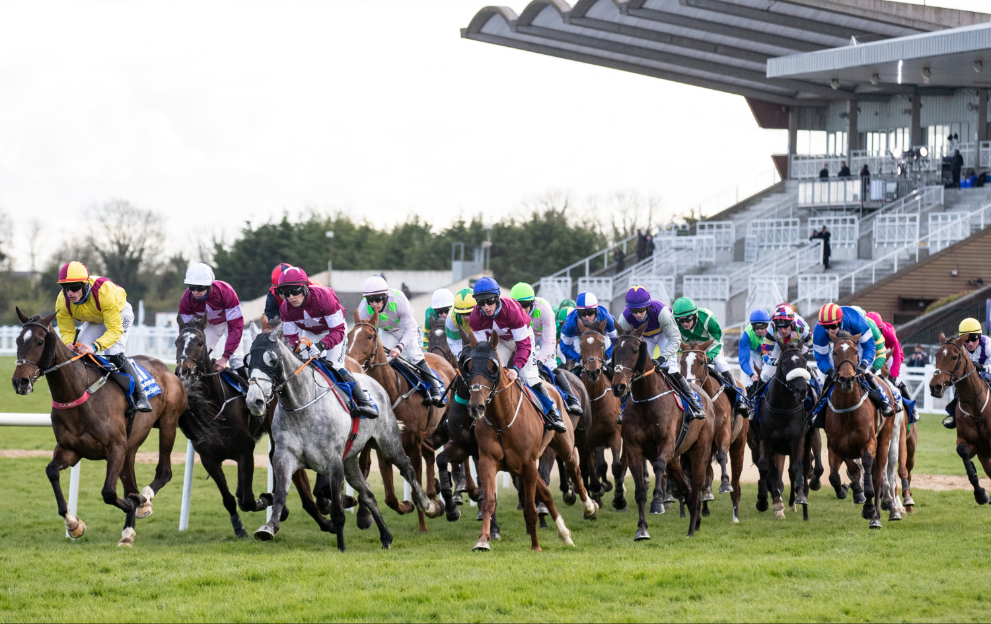 Horses racing at the Fairyhouse Easter Festival