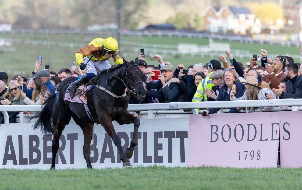 Galopin Des Champs wins the Gold Cup at Cheltenham