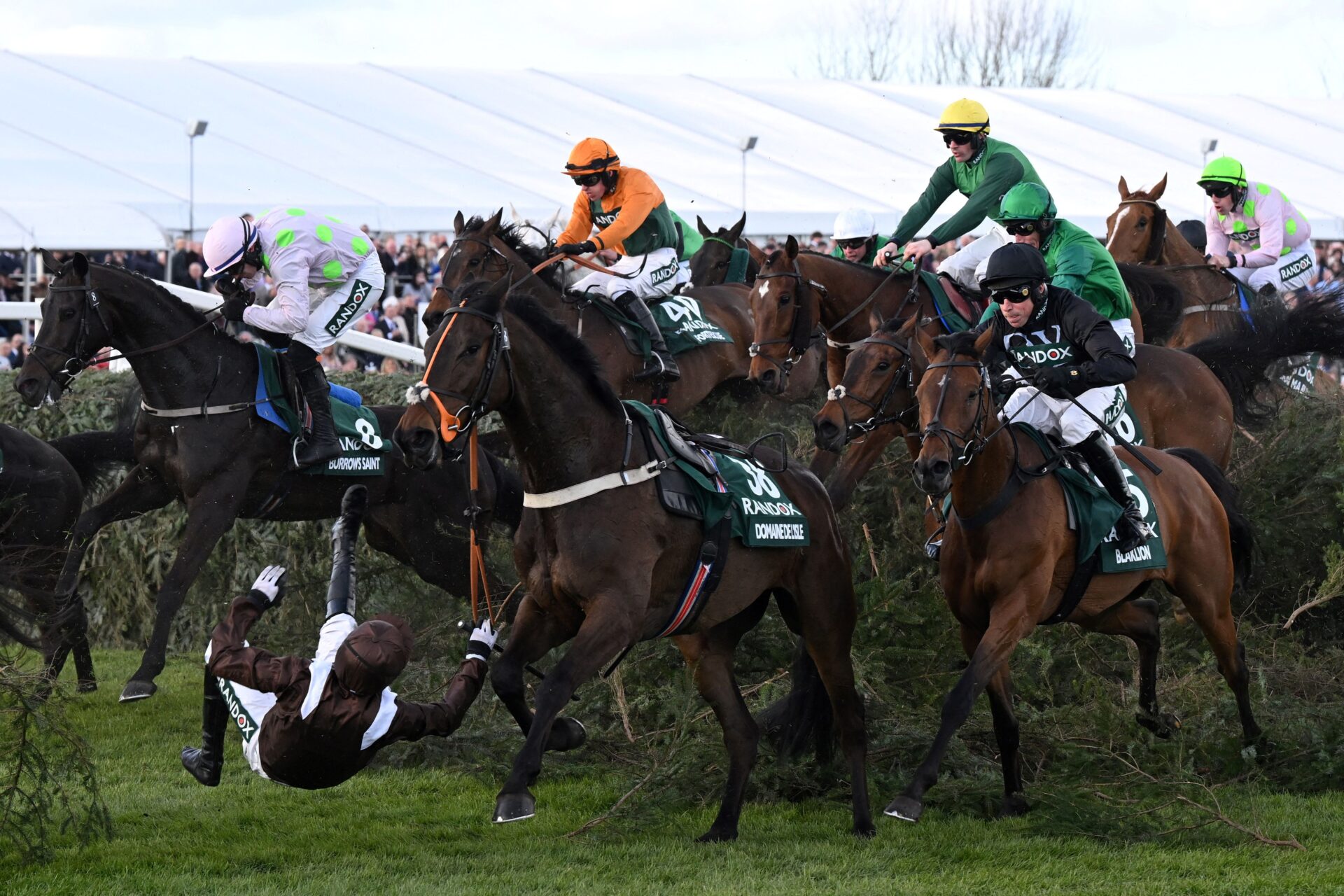 Grand National guide