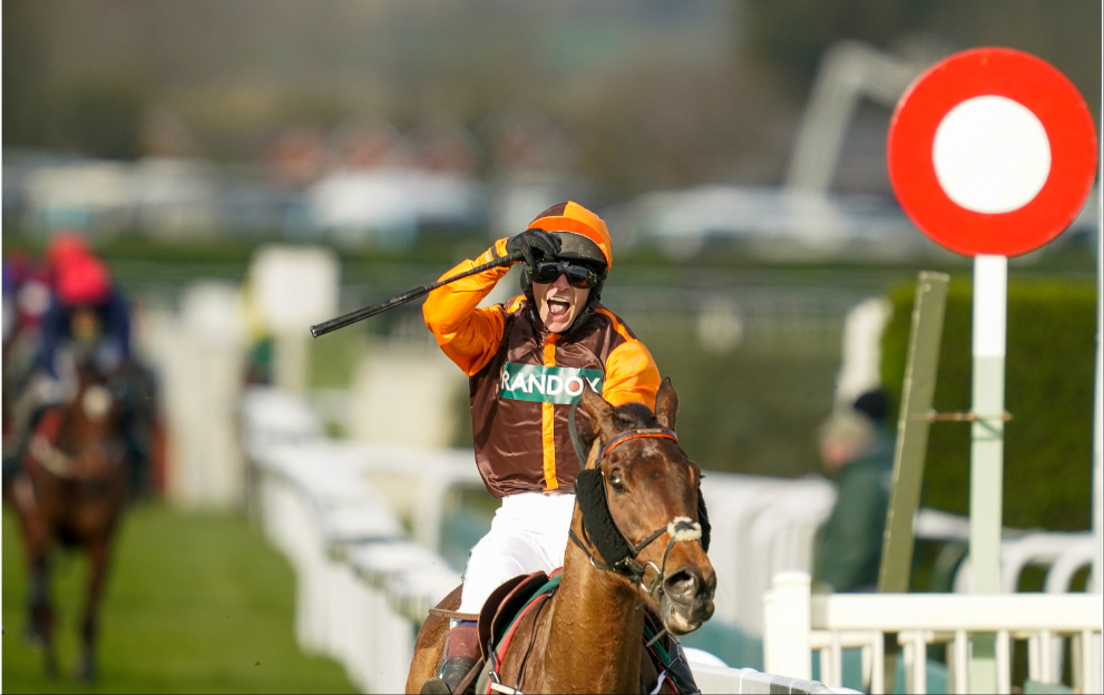 Noble Yeats' colours in the Grand National