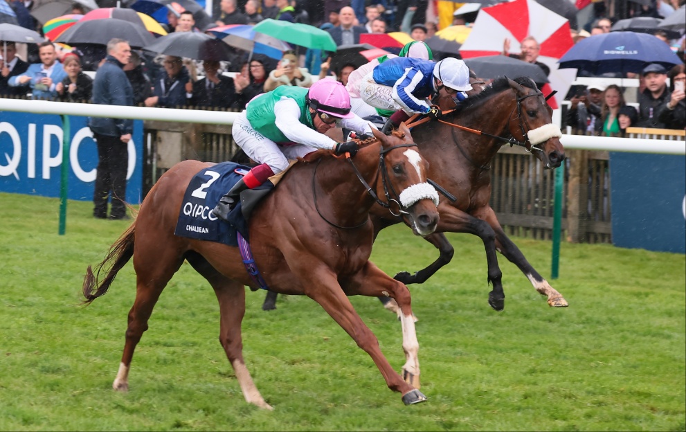 Chaldean wins the 2000 Guineas at Newmarket