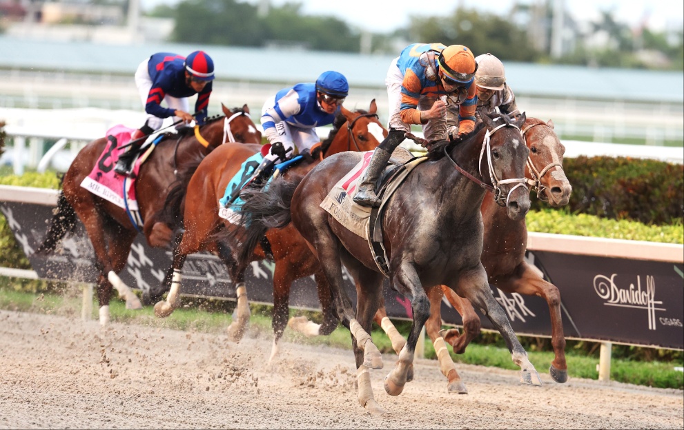 Forte wins the Florida Derby